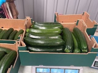 Organic zucchini Origin: Spain Calibration: 14/21 Pallet: 720 kg