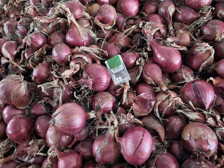 Variety: Carmen Caliber: 4-8 cm