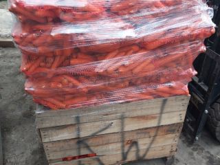 I will sell Volcano commercial carrots, pallet quantities. Negotiated