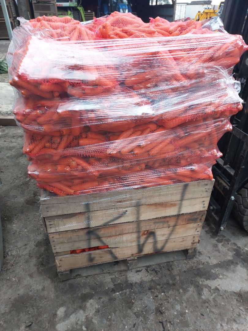 I will sell Volcano commercial carrots, pallet quantities