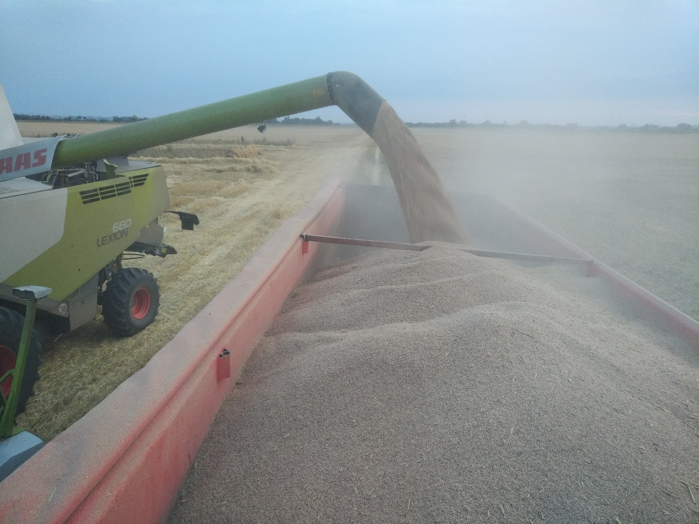 We sell forest perennial grain GÄA/Bioland certified loading on site in big bags or in bulk