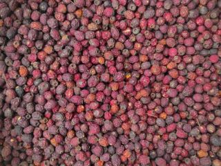 I will sell dried hawthorn berries, about 3 tons,