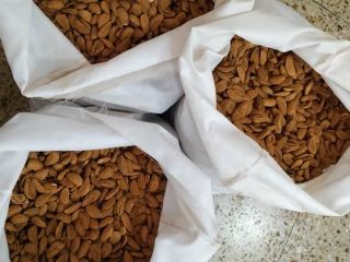We are a producer and supplier of dried fruits