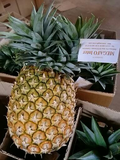 Best pineapple from Cameroon
