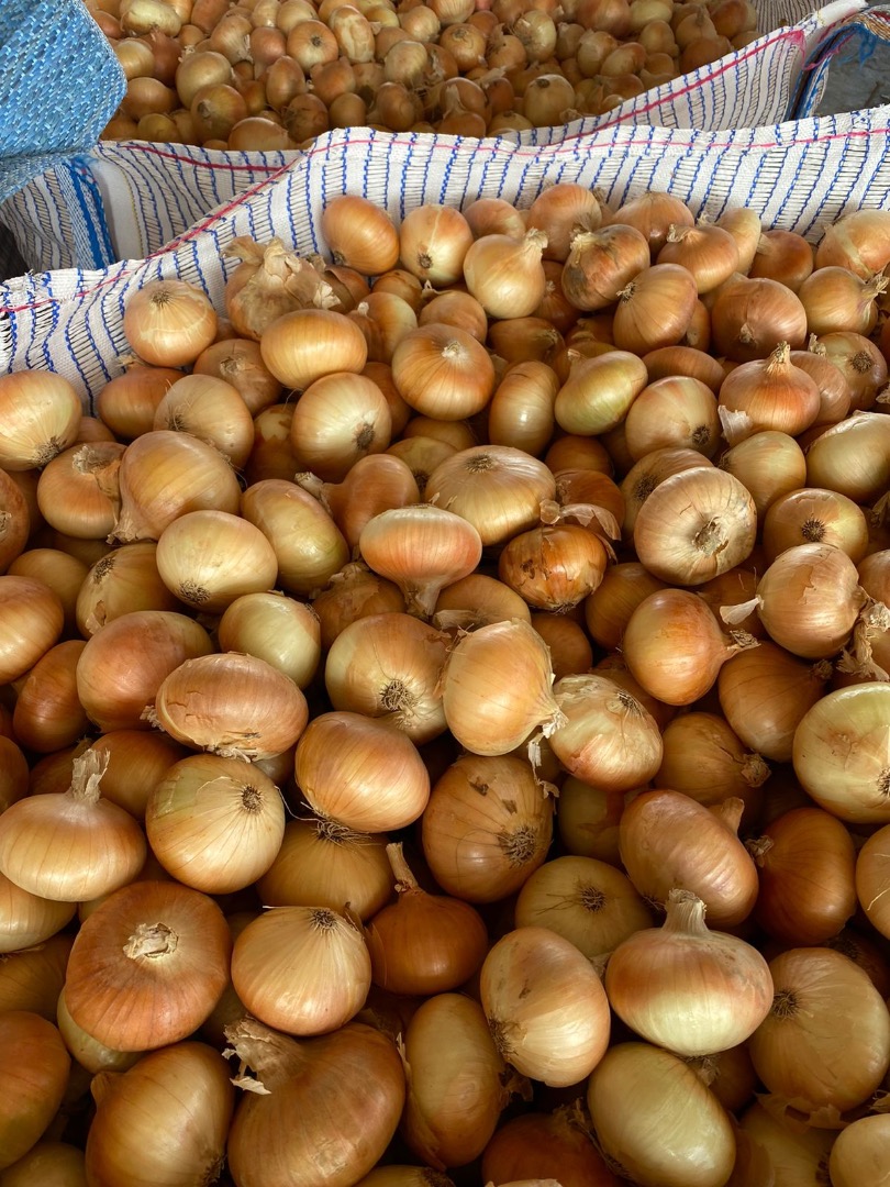 Trading Island For Import And Export our company is one of the Leading onions ,garlic and Sweet Potatoes Growers and exporters in Egypt