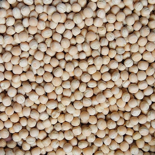 Yellow peas 1000MT