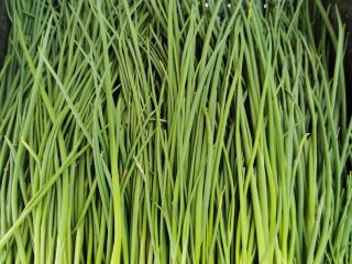 I will sell thin chives by weight, quantity and
