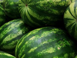 I will buy a watermelon, market quality