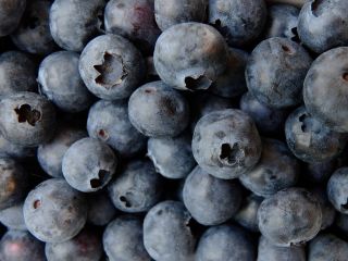 I will establish cooperation with blueberry producers