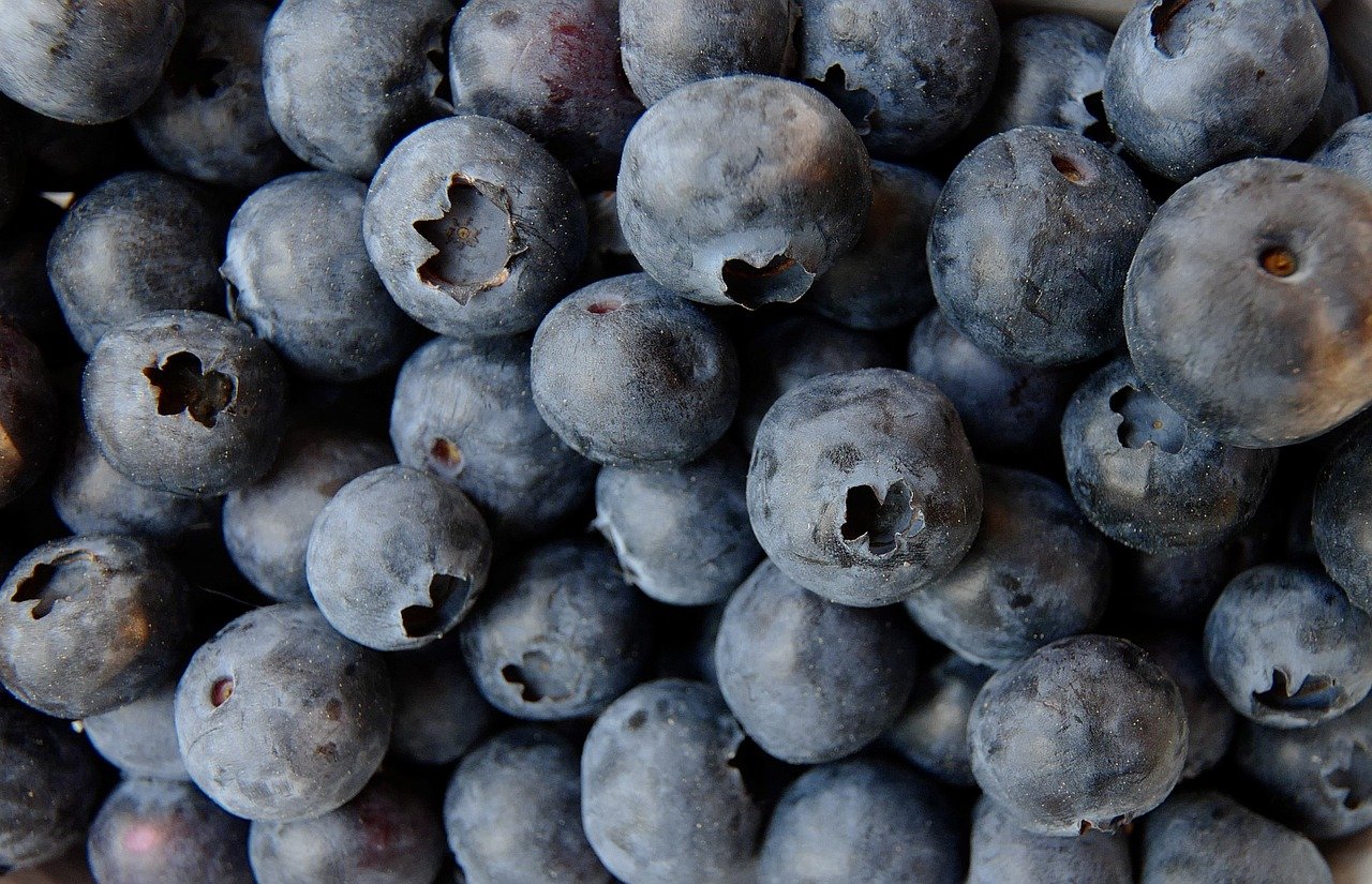 I will establish cooperation with blueberry producers
