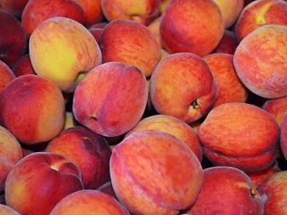 I will establish cooperation with peach producers