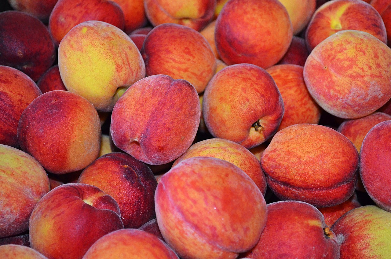 I will establish cooperation with peach producers