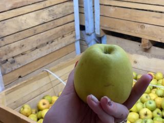 Golden delicious apples for processing. We have a quantity