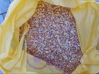 Certificated corn, sunflower, soybeans, ready for export.