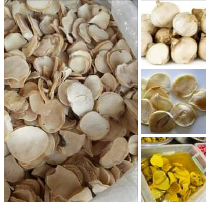Export of mountain garlic & currant the Golden color And all kinds of pickles To any country in the world at the best price whtsapp
