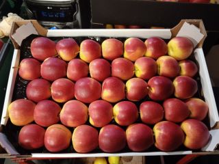 Hello. I will sell apples, number of trucks, Prince
