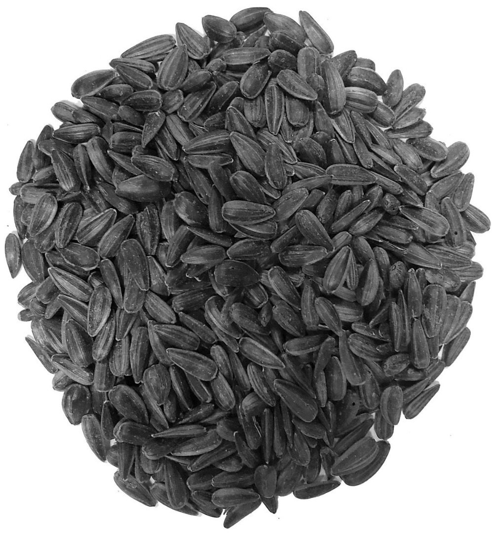 Typical Odor Odourless, no foreign odours Color Black – typical Production area Packing White polypropylene 25kg bags Loading 40 feet: 26 Tons ANALYSIS VALUES