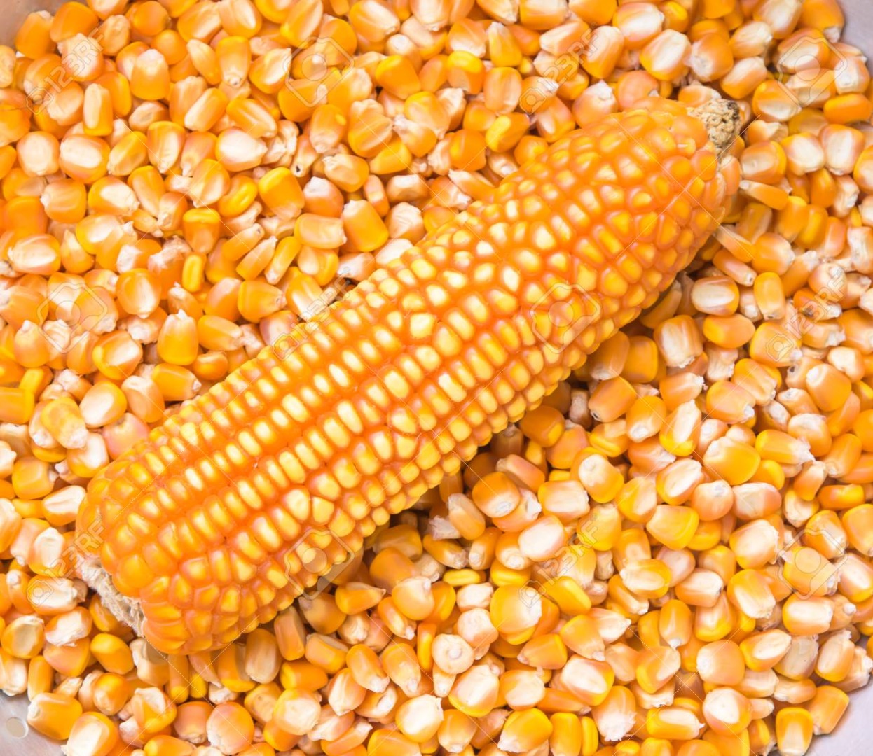 ANALYSIS VALUES Moisture 14.00% max Daños por quemado 0.50% max Total dañados 3.50% max Proteinas 9.00% min Admixture 2.50% max Aflatoxina total 20 PPB max