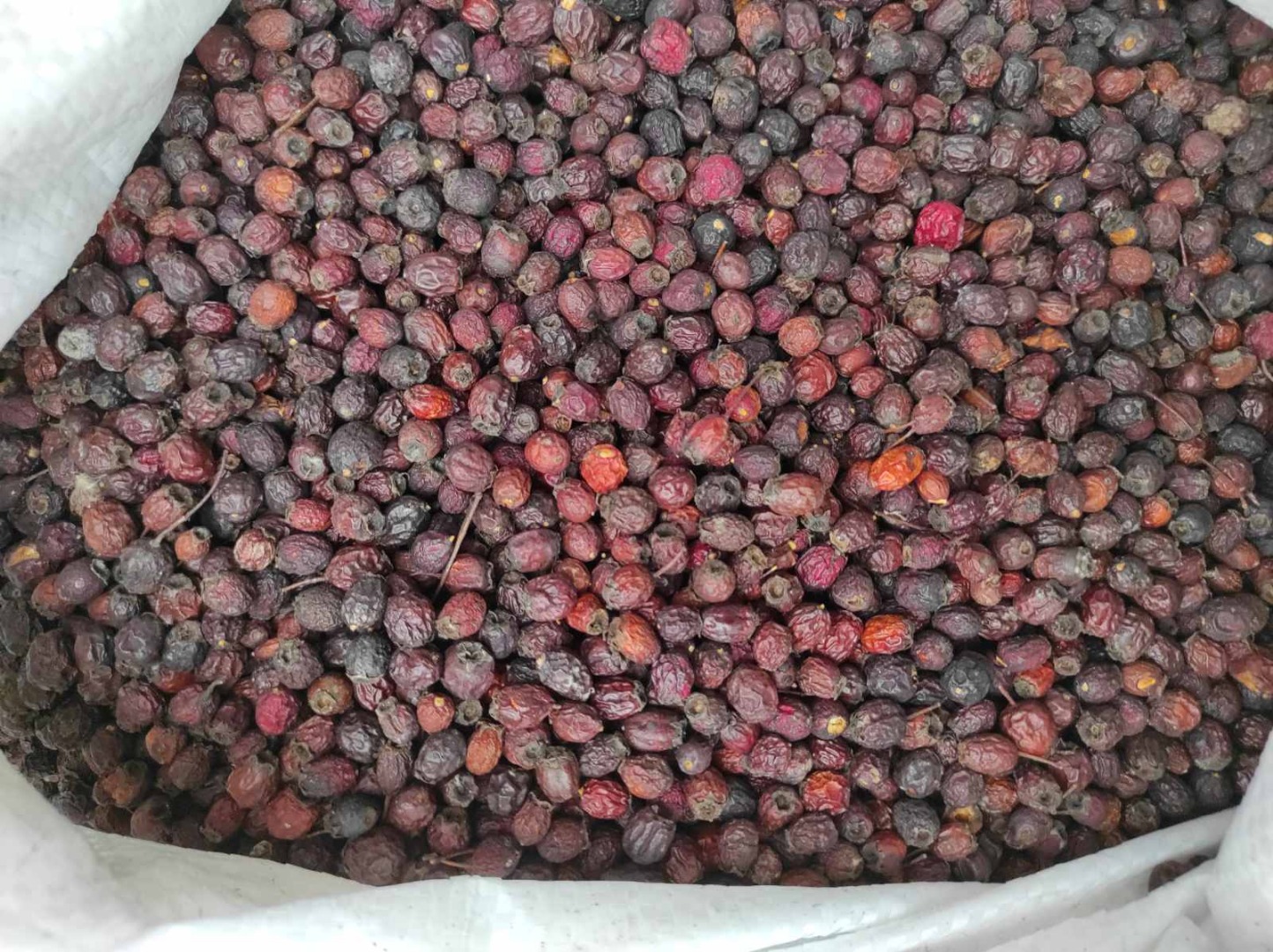 Dried hawthorn fruits for sale in the amount of about 1.5 tons