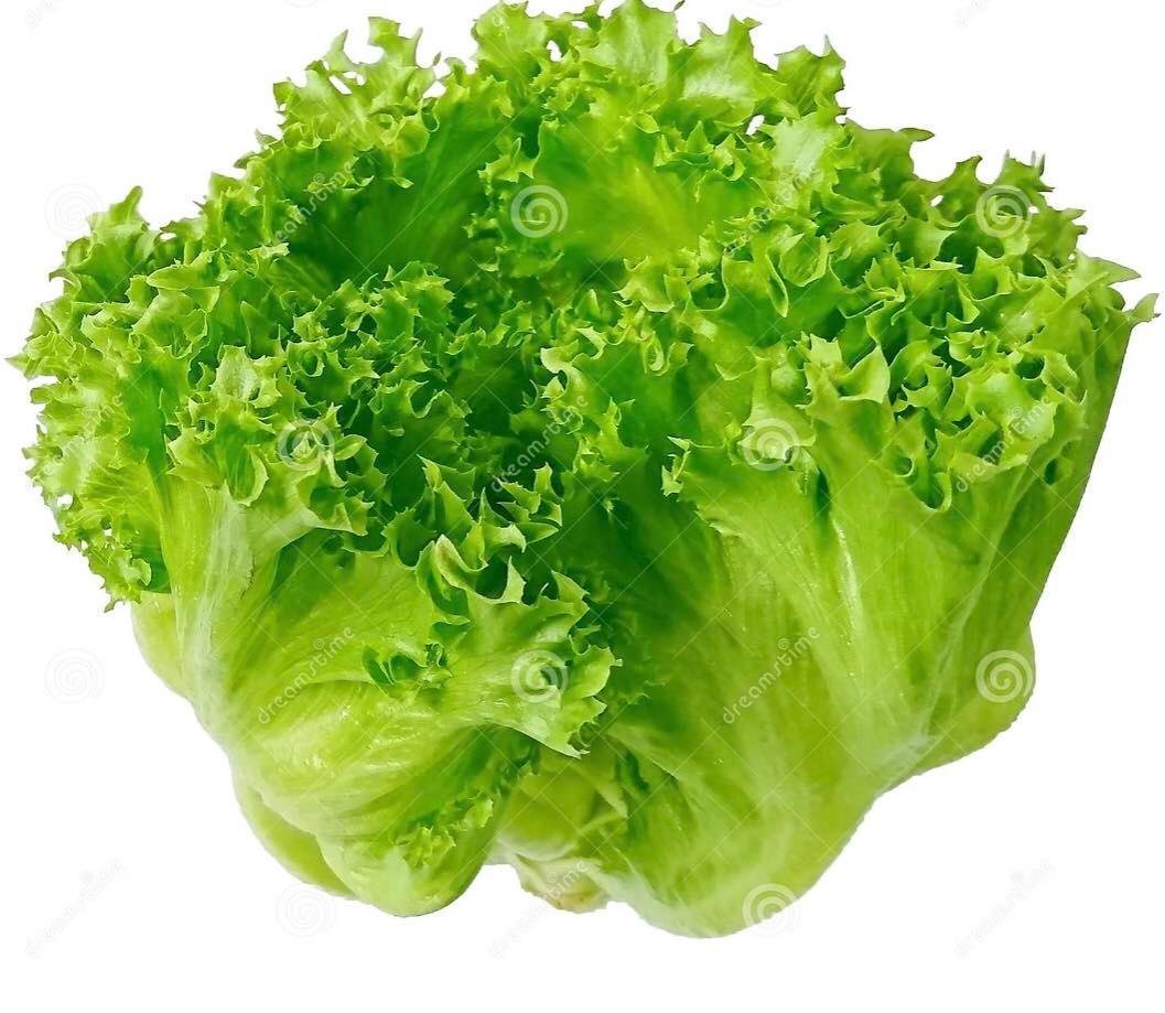 Smart Logistic is a Georgian producer of High quality iceberg lettuce