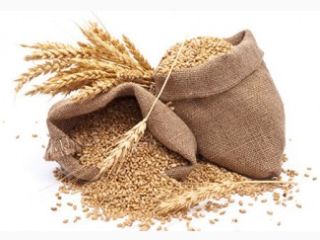 I will buy wheat and spring barley. Self-pickup. Plowed