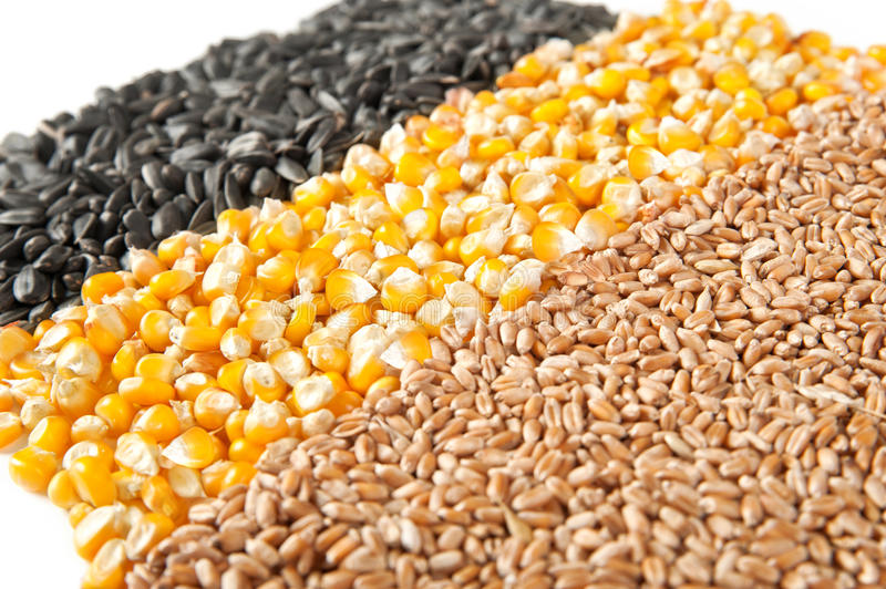 Our assortment consists of the following high quality
