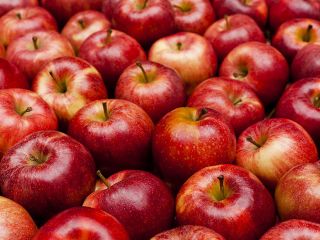 Color: Red Min. Purc. Amt: 2000 kg Location: Amasya