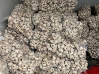 I am selling Polish garlic, seasoned. Very pretty, healthy.