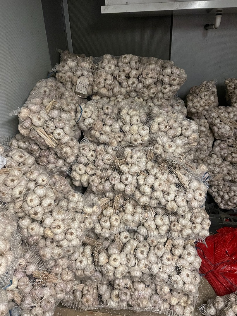 I am selling Polish garlic, seasoned