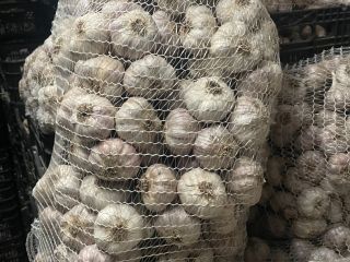 I am selling beautiful Polish garlic, seasoned. Packed in