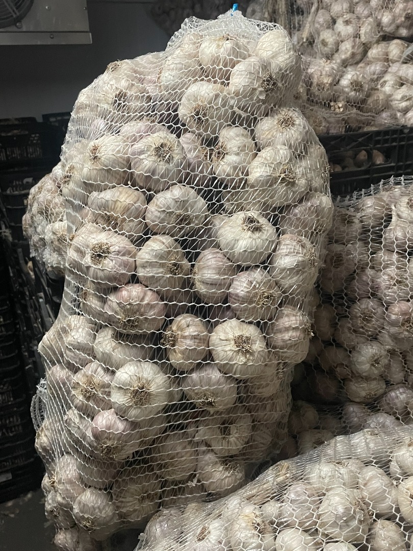 I am selling beautiful Polish garlic, seasoned