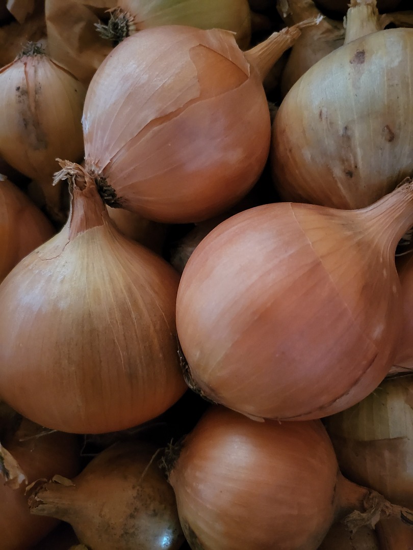 I will sell yellow onions, caliber 4-7