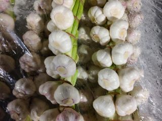 Hello. Egypt garlic for sale. Price per kg PLN