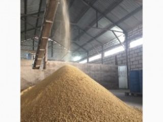 We sell soybean meal in bulk, packing runs, dam.