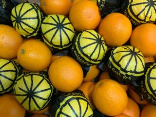I will sell oranges in bulk, on a pallet