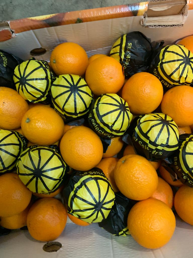 I will sell oranges in bulk, on a pallet or in retail, in cardboard boxes