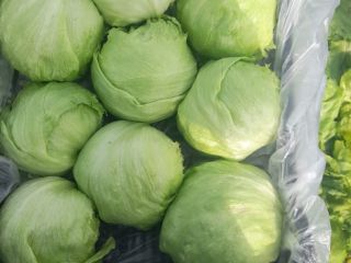 hello an Italian company can supply vegetables and chips