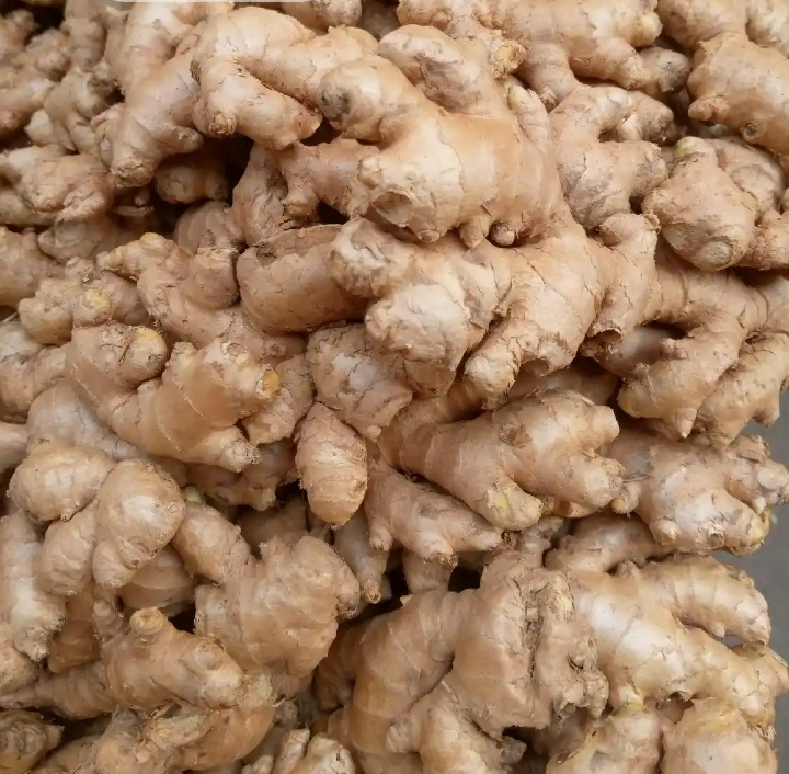 Big seize Nigeria ginger and Freshly gotten from the farm