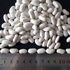 White beans (kidneys) for sale