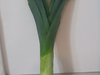 I will sell a thick leek straight from the