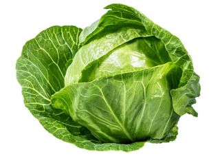 Fresh Spring cabbage , prepared upon client's requests regarding