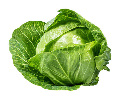 Fresh Spring cabbage , prepared upon client's requests regarding calibers and nett weight of the box.Can be cleaned or with external leaves