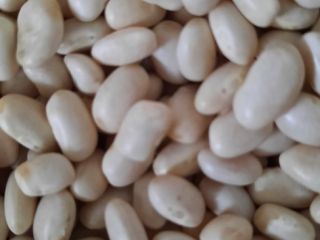 Beans for sale !!!