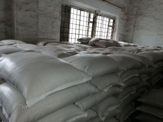 We offer to buy yellow millet from a warehouse.