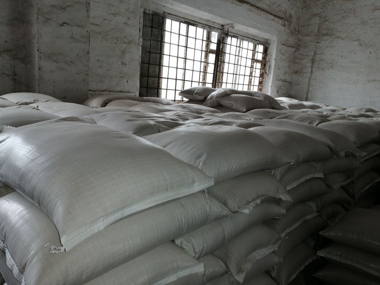 We offer to buy yellow millet from a warehouse