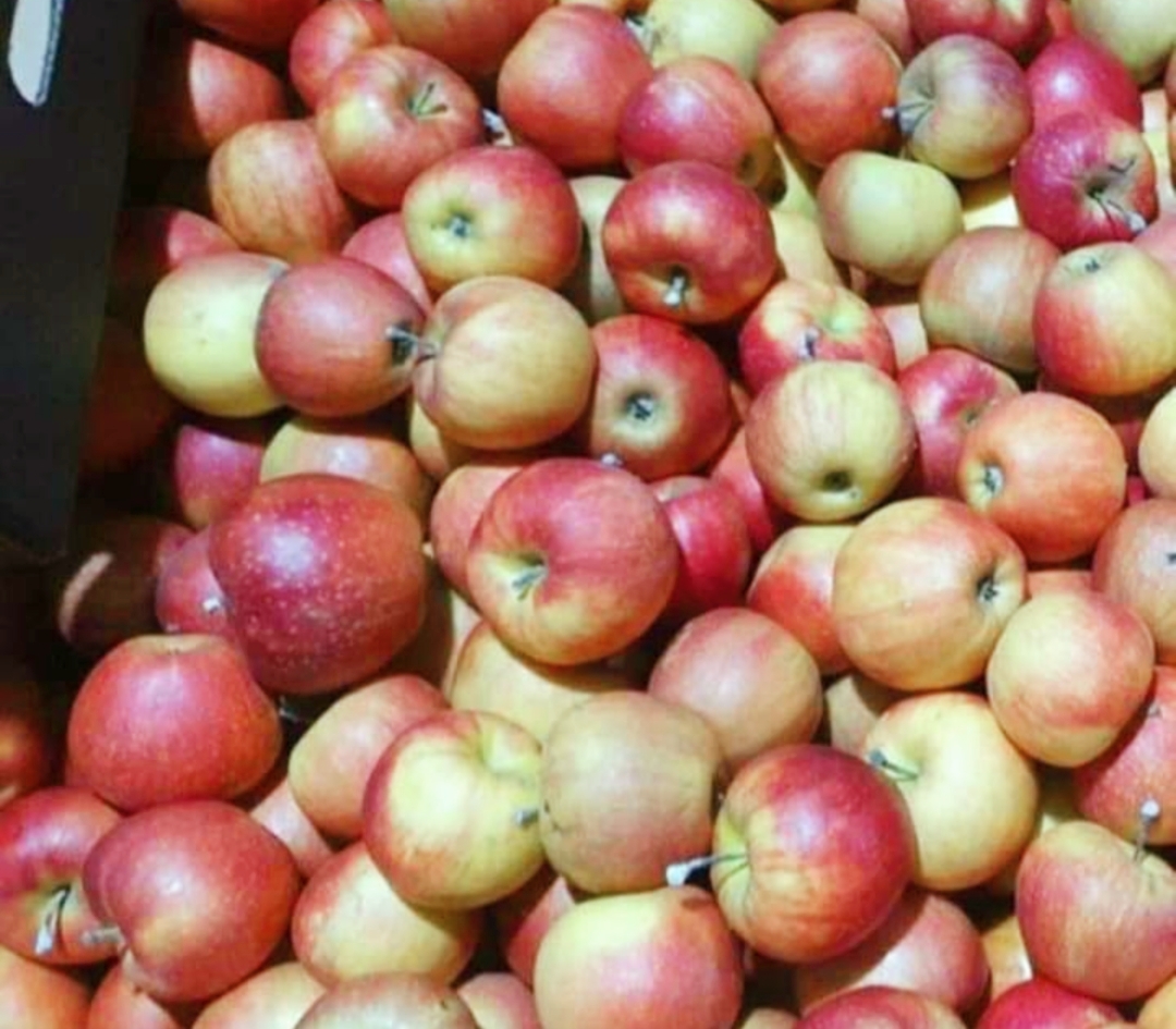 Hello, I am selling various assorted Moldovan apples, preferably per ton / s