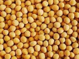 Good morning. I will sell yellow peas in the