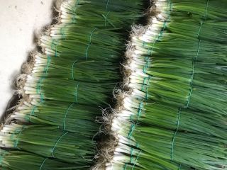 I am selling green chives from chives, the price