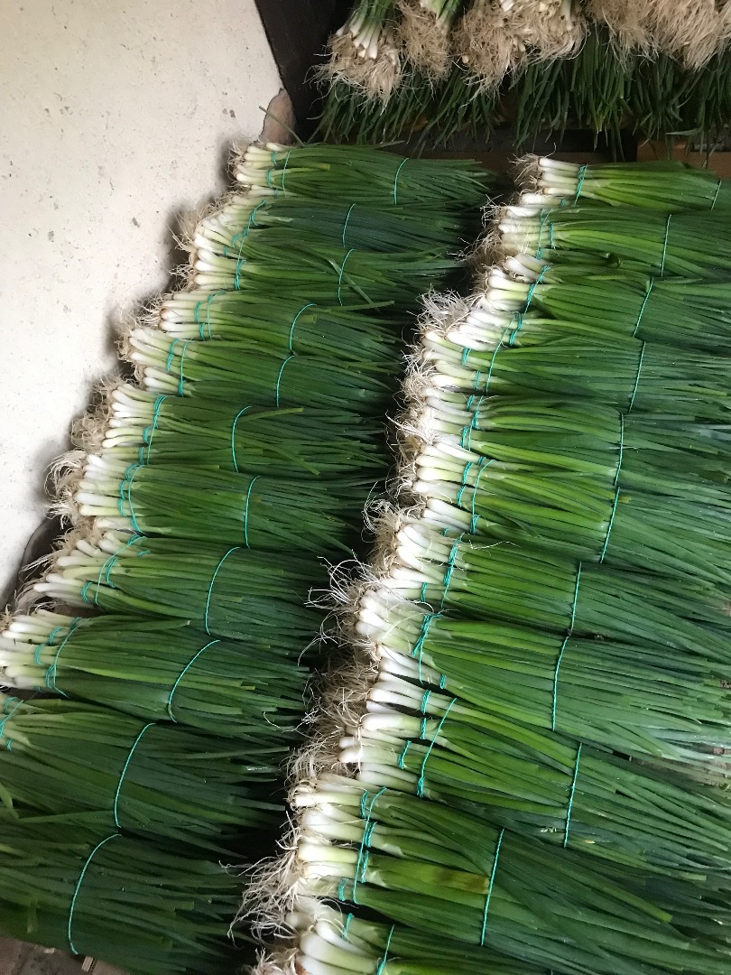 I am selling green chives from chives, the price is 0.60 bani for the connection of 5 threads each, the price is negotiable depending on the quantity