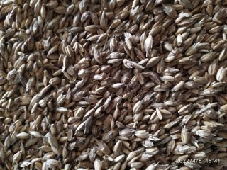 20 tons of ORGANIC UNCOOKED SPELT is sold. The